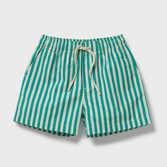 Swim Board Short / Green Bean Stripe