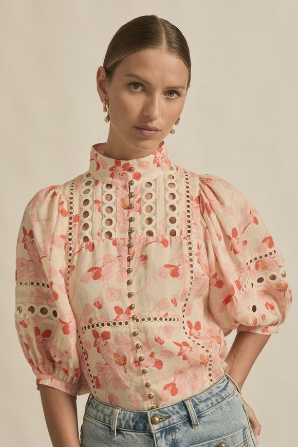 Cabaret Top  / Cherry Tulip