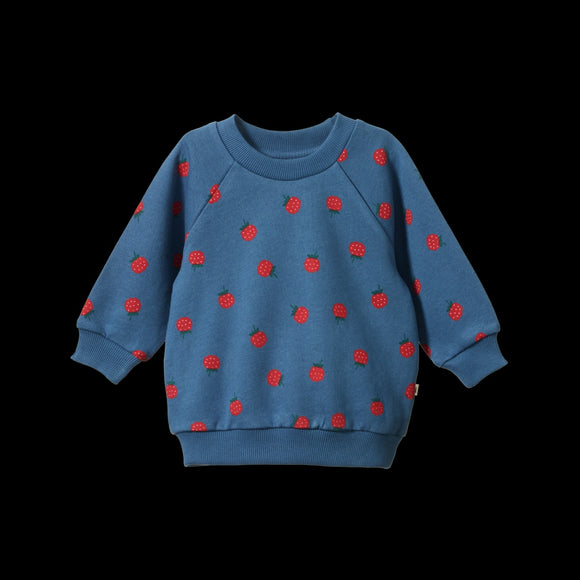 Emerson Sweater / Raspberry Blue