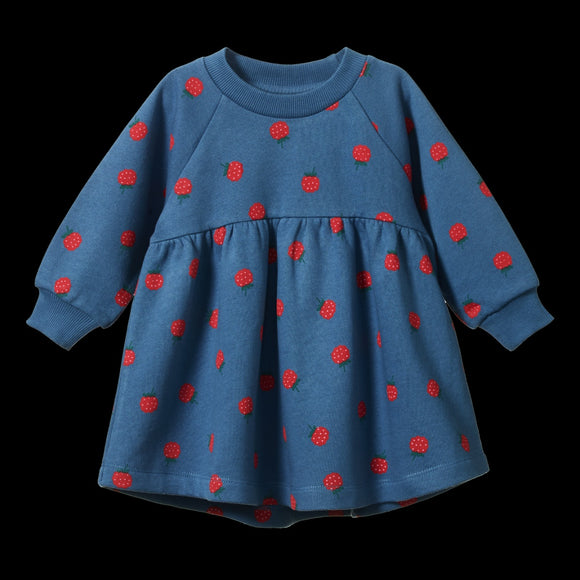 Ines Dress/ Raspberry Blue Print