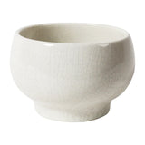Ikebana Vase / White Crackle